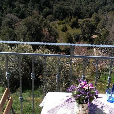 Stellaria Casa Vacanze In Montagna Panorama Stupendo Sardegna Seùlo Exterior foto