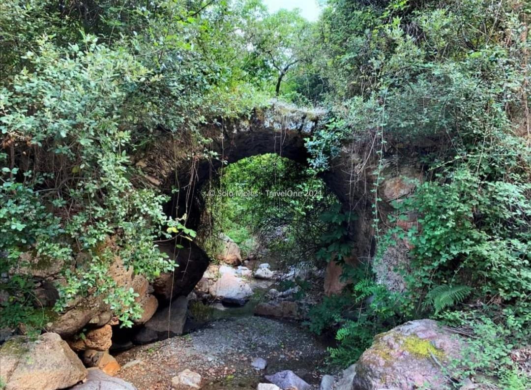 Stellaria Casa Vacanze In Montagna Panorama Stupendo Sardegna Seùlo Exterior foto