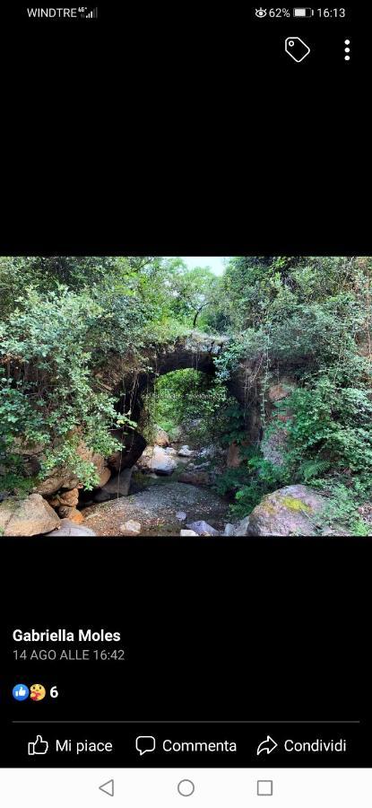 Stellaria Casa Vacanze In Montagna Panorama Stupendo Sardegna Seùlo Exterior foto
