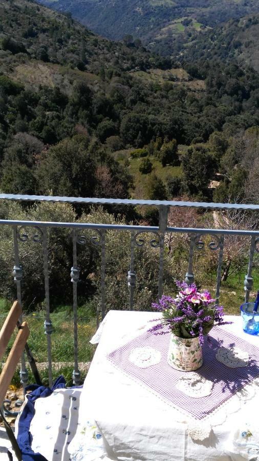Stellaria Casa Vacanze In Montagna Panorama Stupendo Sardegna Seùlo Exterior foto