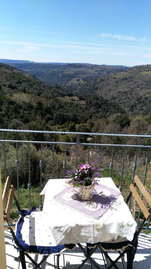 Stellaria Casa Vacanze In Montagna Panorama Stupendo Sardegna Seùlo Exterior foto