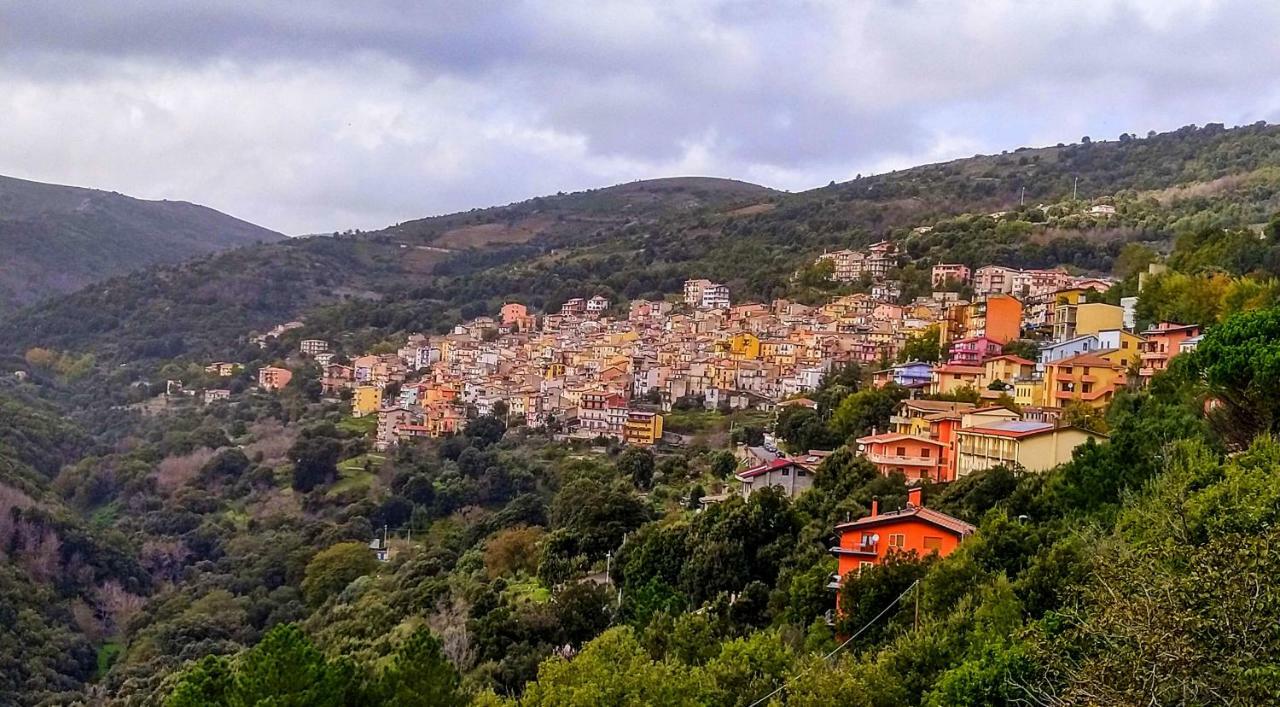 Stellaria Casa Vacanze In Montagna Panorama Stupendo Sardegna Seùlo Exterior foto
