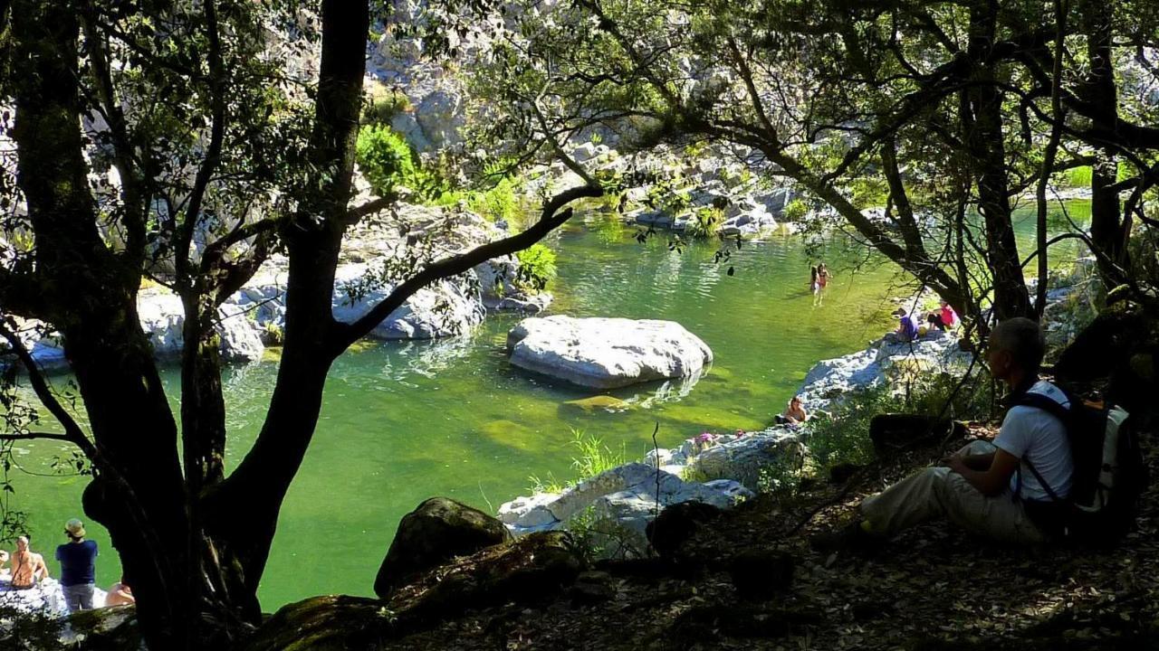 Stellaria Casa Vacanze In Montagna Panorama Stupendo Sardegna Seùlo Exterior foto